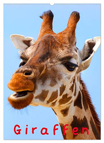 9783674350978: Giraffen (Wandkalender 2023 DIN A2 hoch): Schne Gesichter auf langen und eleganten Hlsen (Monatskalender, 14 Seiten )
