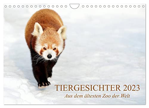 Beispielbild fr Tiergesichter 2023 (Wandkalender 2023 DIN A4 quer), Calvendo Monatskalender zum Verkauf von medimops