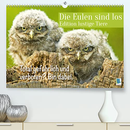 Die Eulen sind los: Edition lustige Tiere (Premium, hochwertiger DIN A2 Wandkalender 2023, Kunstdruck in Hochglanz): Spaß mit Eule, Uhu und Kauz und . (Monatskalender, 14 Seiten ) (CALVENDO Spass) - Calvendo