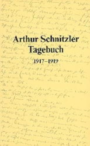 9783700107224: Tagebuch, 1879-1931: 1917-1919