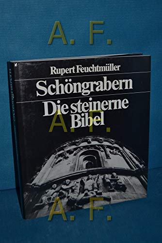 Stock image for schongrabern,_die_steinerne_bibel for sale by Ammareal