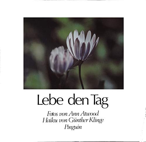 Stock image for Lebe den Tag for sale by Leserstrahl  (Preise inkl. MwSt.)