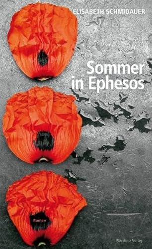 9783701715862: Sommer in Ephesos
