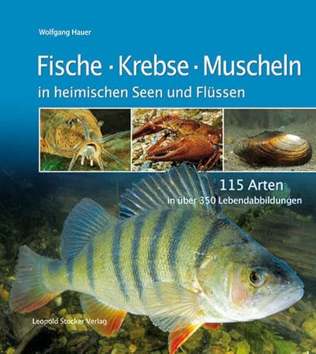 Fische - Krebse - Muscheln in heimischen Seen und Flüssen: 115 Arten in über 350 Lebendabbildungen.