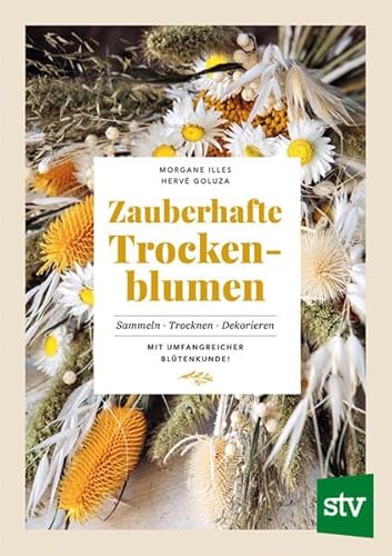 Stock image for Zauberhafte Trockenblumen for sale by GreatBookPrices