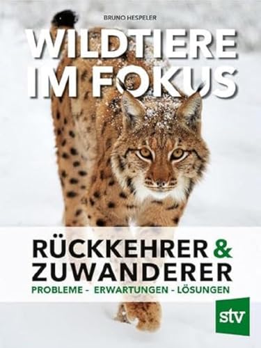 Beispielbild fr Wildtiere im Fokus zum Verkauf von Blackwell's