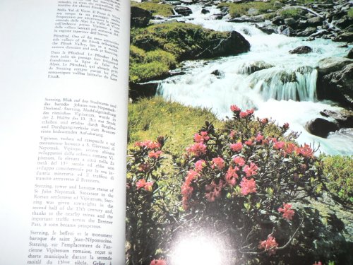 Beispielbild fr Sdtirol in Farben. Ein Bildband zum Verkauf von Bernhard Kiewel Rare Books