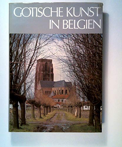 Beispielbild fr Gotische Kunst in Belgien. Fotos von Hugues Boucher. zum Verkauf von Antiquariat am St. Vith