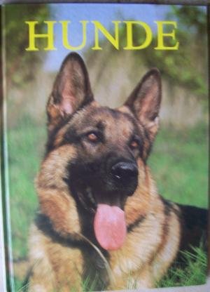 Beispielbild für Hunde [Hardcover] Sayer, Angela zum Verkauf von tomsshop.eu