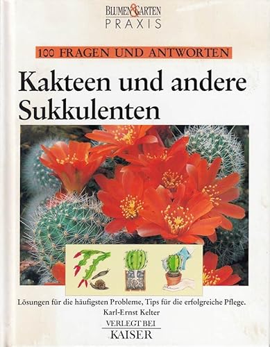 Imagen de archivo de Hundert Fragen und Antworten Kakteen und andere Sukkulenten a la venta por medimops