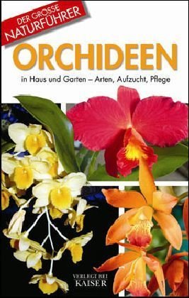Beispielbild fr Orchideen. in Haus und Garten - Arten, Aufzucht, Pflege zum Verkauf von medimops