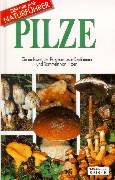 Pilze: Ein umfassender Ratgeber zum Bestimmen und Sammeln von Pilzen - Bielli, Ettore