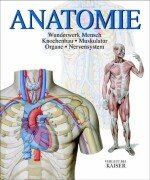 Anatomie : Wunderwerk Mensch, Knochenbau, Muskulatur, Organe, Nervensystem. [Einzig berecht. Übertr. aus dem Ital.:]. - Schöninger, Carmen