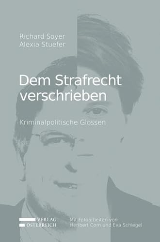 Stock image for Dem Strafrecht verschrieben: Kriminalpolitische Glossen for sale by medimops