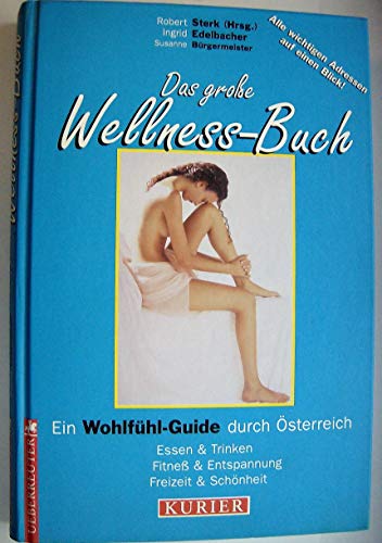 9783706406550: Das grosse Wellness-Buch: Ein Wohlfhl-Guide fr sterreich - Sterk Robert