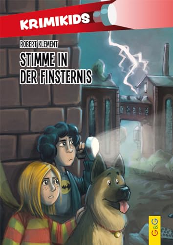 Stock image for KrimiKids - Stimme in der Finsternis (KrimiKids / Lesemotivation mit einem jungen sterreichischen AutorInnenteam) for sale by medimops