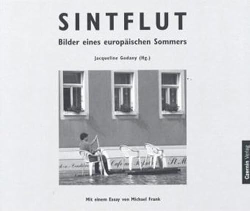 Sintflut. Bilder eines europÃ¤ischen Sommers. (9783707601589) by Wilkens, Andreas