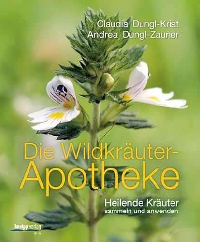 Die Wildkräuter-Apotheke: heilende Kräuter sammeln und anwenden. - Dungl-Krist, Claudia (Mitwirkender) und Andrea (Mitwirkender) Dungl-Zauner