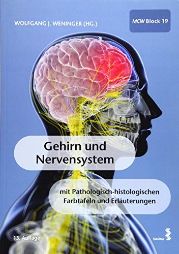 Stock image for Gehirn und Nervensystem for sale by medimops