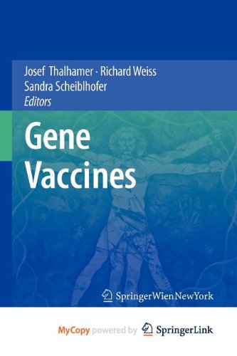 9783709104408: Gene Vaccines