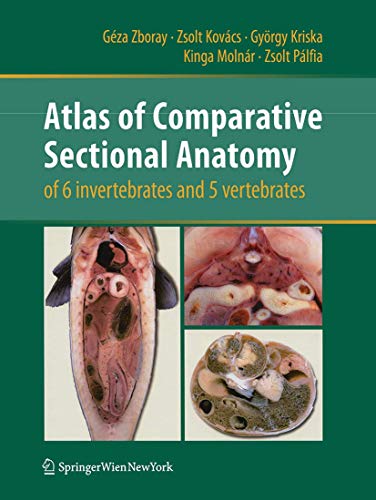 Stock image for Atlas of Comparative Sectional Anatomy of 6 invertebrates and 5 vertebrates for sale by Lucky's Textbooks