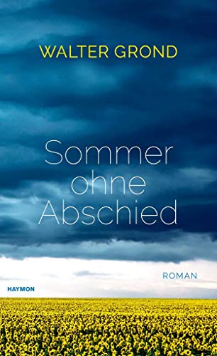 Stock image for Sommer ohne Abschied. Roman for sale by medimops