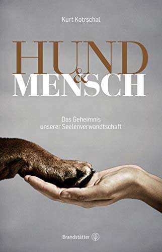 Stock image for Hund & Mensch: Das Geheimnis unserer Seelenverwandtschaft for sale by medimops