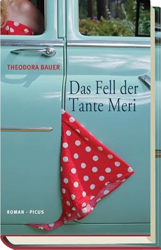 9783711720115: Das Fell der Tante Meri