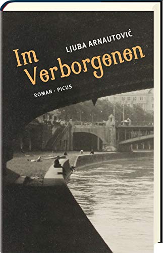 9783711720597: Im Verborgenen: Roman