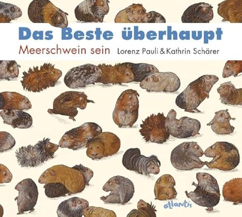 Beispielbild fr Das Beste berhaupt: Meerschwein sein zum Verkauf von medimops