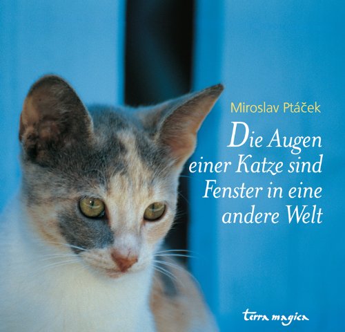 Stock image for Die Augen einer Katze sind Fenster in eine andere Welt for sale by medimops