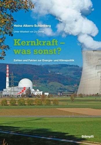 Beispielbild fr Kernkraft - was sonst?: Zahlen und Fakten zur Energie- und Klimapolitik zum Verkauf von medimops