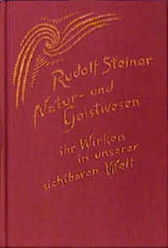 Natur- und Geistwesen, ihr Wirken in unserer sichtbaren Welt. Achtzehn Vorträge, gehalten in vers...