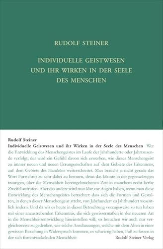 9783727417818: Individuelle Geistwesen und ihr Wirken in der Seele des Menschen: Neun Vortrge, gehalten in St. Gallen, Zrich und Dornach vom 6. bis 25. November 1917: 178