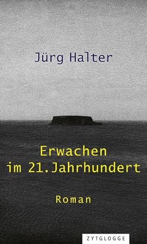 9783729609990: Erwachen im 21. Jahrhundert