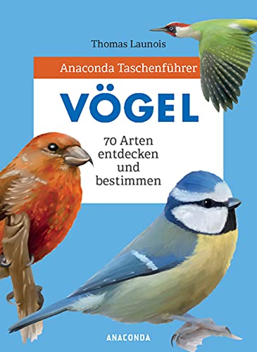Stock image for Anaconda Taschenfhrer Vgel -Language: german for sale by GreatBookPrices