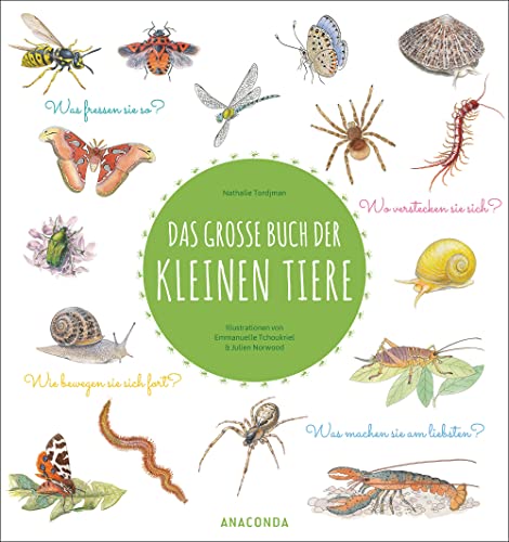 Beispielbild fr Das groe Buch der kleinen Tiere: Was fressen sie so? Wie bewegen sie sich fort? Wo verstecken sie sich? Was machen sie am liebsten? zum Verkauf von medimops