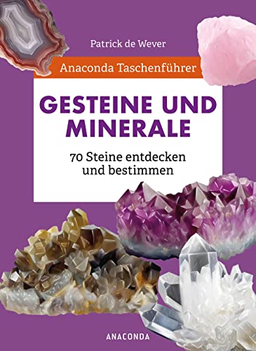 Imagen de archivo de Anaconda Taschenfhrer Mineralien. 70 Steine entdecken und bestimmen a la venta por GreatBookPrices