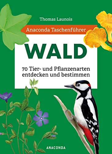 Beispielbild fr Anaconda Taschenfhrer Wald: 70 Tier- und Pflanzenarten entdecken und bestimmen zum Verkauf von Revaluation Books