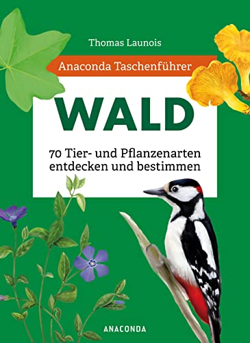 Stock image for Anaconda Taschenfhrer Wald: 70 Tier- und Pflanzenarten entdecken und bestimmen for sale by medimops