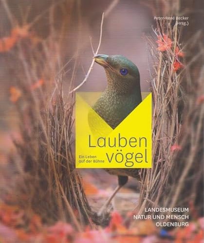 Imagen de archivo de Laubenvgel: Ein Leben auf der Bhne Schriftenreihe des Landesmuseums fr Natur und Mensch 99 Australien Naturwissenschaften Laubenvogel Neuguinea Singvgel Paradiesvgel Vgel Vogelarten a la venta por BUCHSERVICE / ANTIQUARIAT Lars Lutzer