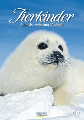 9783731816201: Tierkinder 2017 Kalender