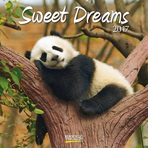 9783731819400: Sweet Dreams 2017 Broschrenkalender: Broschrenkalender mit Ferienterminen