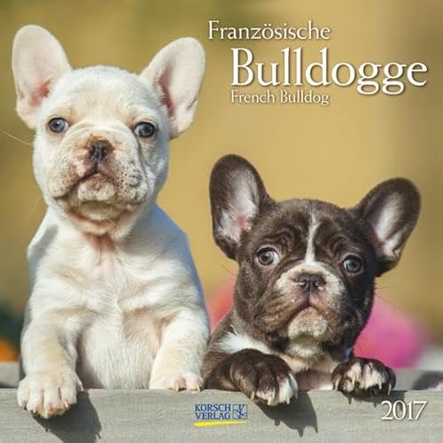 9783731819622: Franzsische Bulldogge 2017. Broschrenkalender: French Bulldog. Broschrenkalender mit Ferienterminen