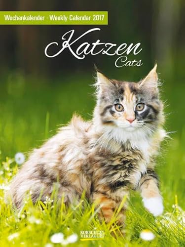 9783731820710: Katzen 2017 Foto-Wochenkalender