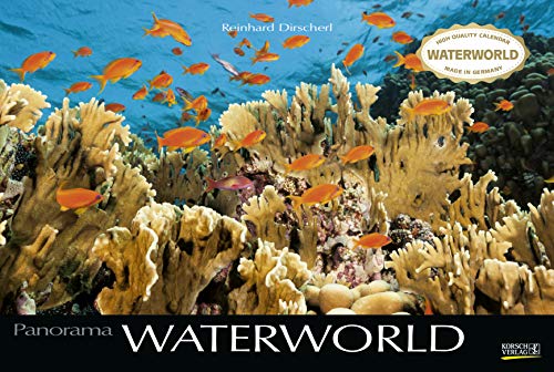 Stock image for Waterworld 2020: Groer Foto-Wandkalender mit unterwasser-Bildern von Fischen. Edler schwarzer Hintergrund und Foliendeckblatt. PhotoArt Panorama Querformat: 58x39 cm. for sale by medimops