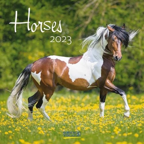 Stock image for Horses 2023: Broschrenkalender mit Ferienterminen. Pferde und Ponys. 30 x 30 cm for sale by medimops