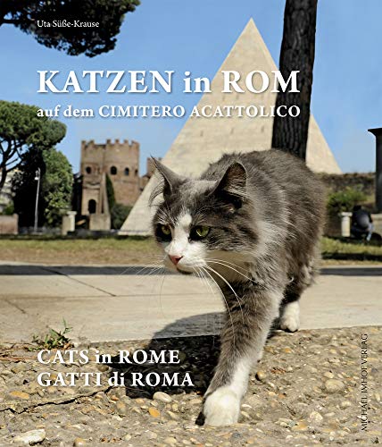 Beispielbild fr Katzen in Rom: auf dem ?Nicht-Katholischen Friedhof? zum Verkauf von medimops