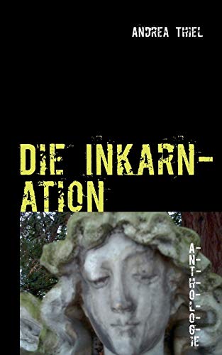 Stock image for Die Inkarnation:Seltsame Geschichte for sale by Chiron Media