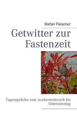 Stock image for Getwitter zur Fastenzeit: Tagessprche vom Aschermittwoch bis Ostersonntag (German Edition) for sale by Lucky's Textbooks